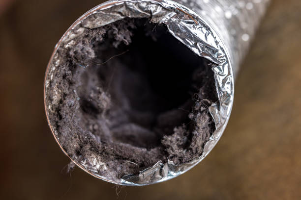 Best Affordable Duct Cleaning Services  in Audubon Park, NJ